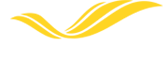 VOEPASS - Logo